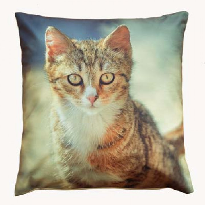 348_48_40x40_kh_gross