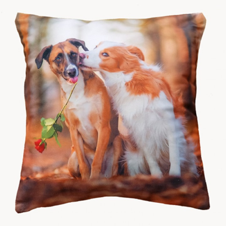 348_53_kh_40x40_gross