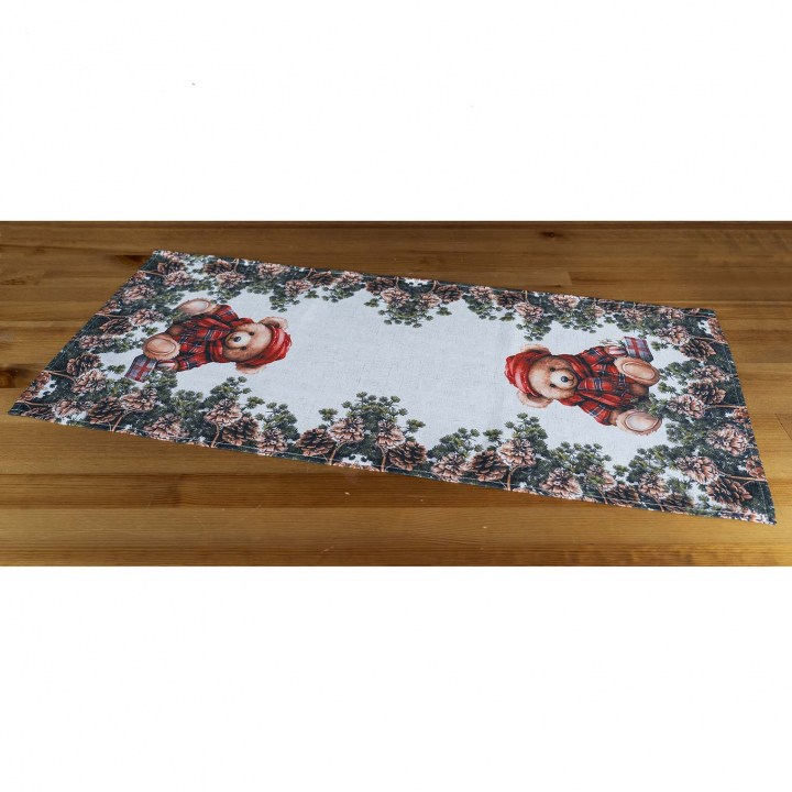 w_5490_40x90_weihnachtsteddy_gross